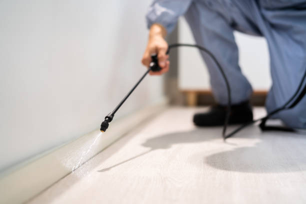 Licensed Pest Control service in Rose Hill, NC - Show Me Pest Control