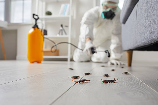 Commercial Rodent Management in Rose Hill